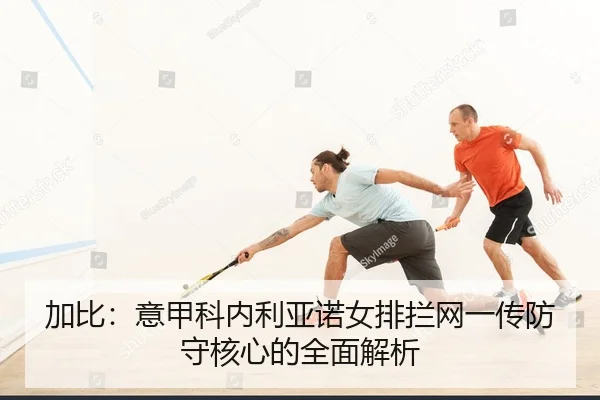 jia-bi-yi-jia-ke-nei-li-ya-nuo-nv-pai-lan-wang-yi-chuan-fang-shou-he-xin-de-quan-mian-jie-xi-2-764.jpg